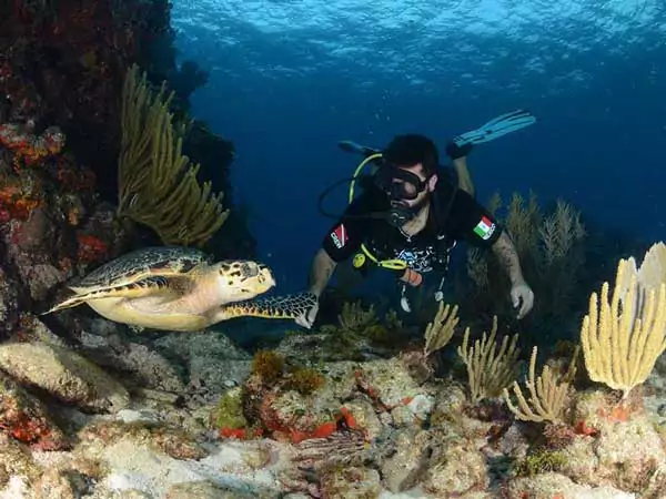 become PADI certified diver in Cancun